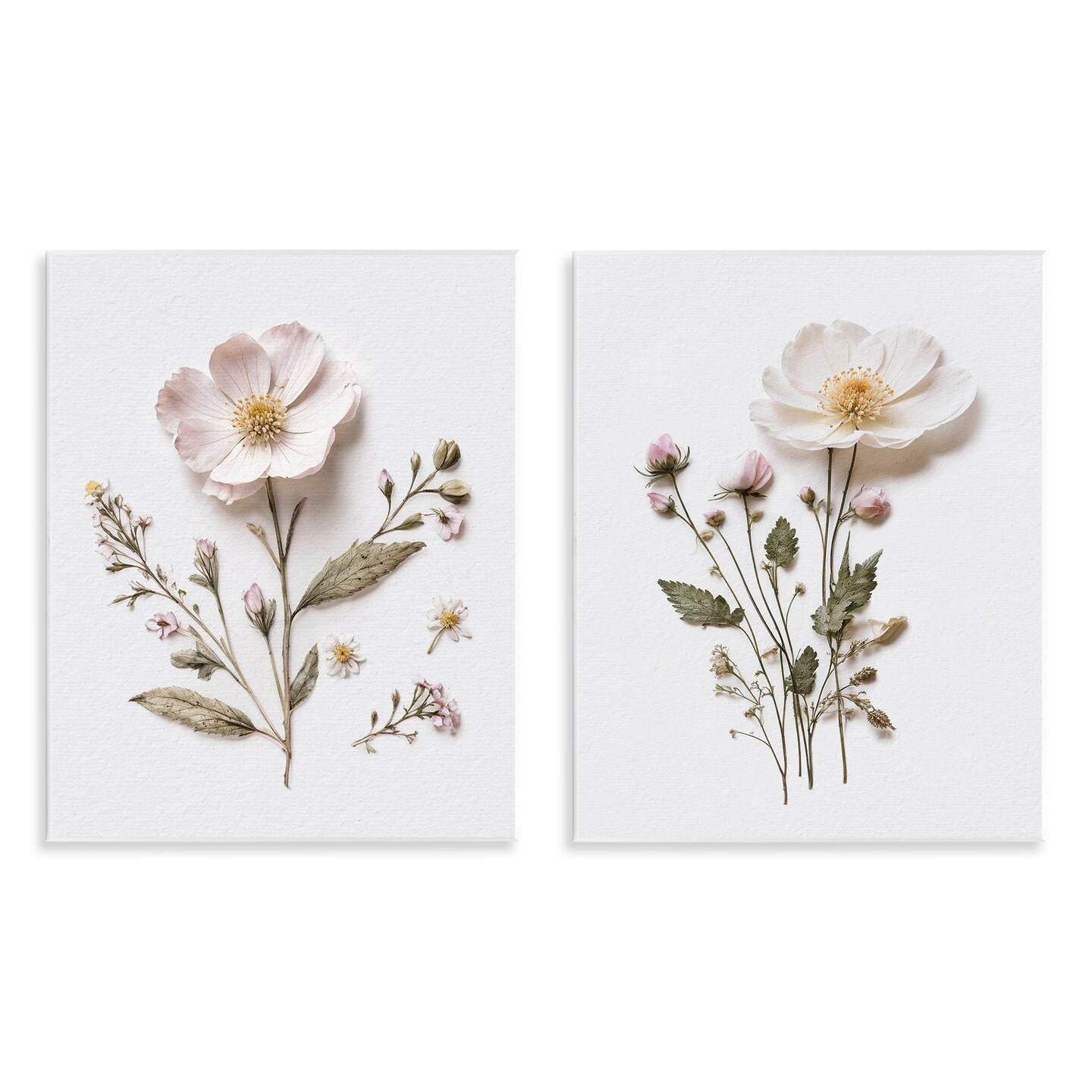 Stupell Industries Minimal Pressed Flowers 2pc Wall Plaque Set, design by Lettered and Lined