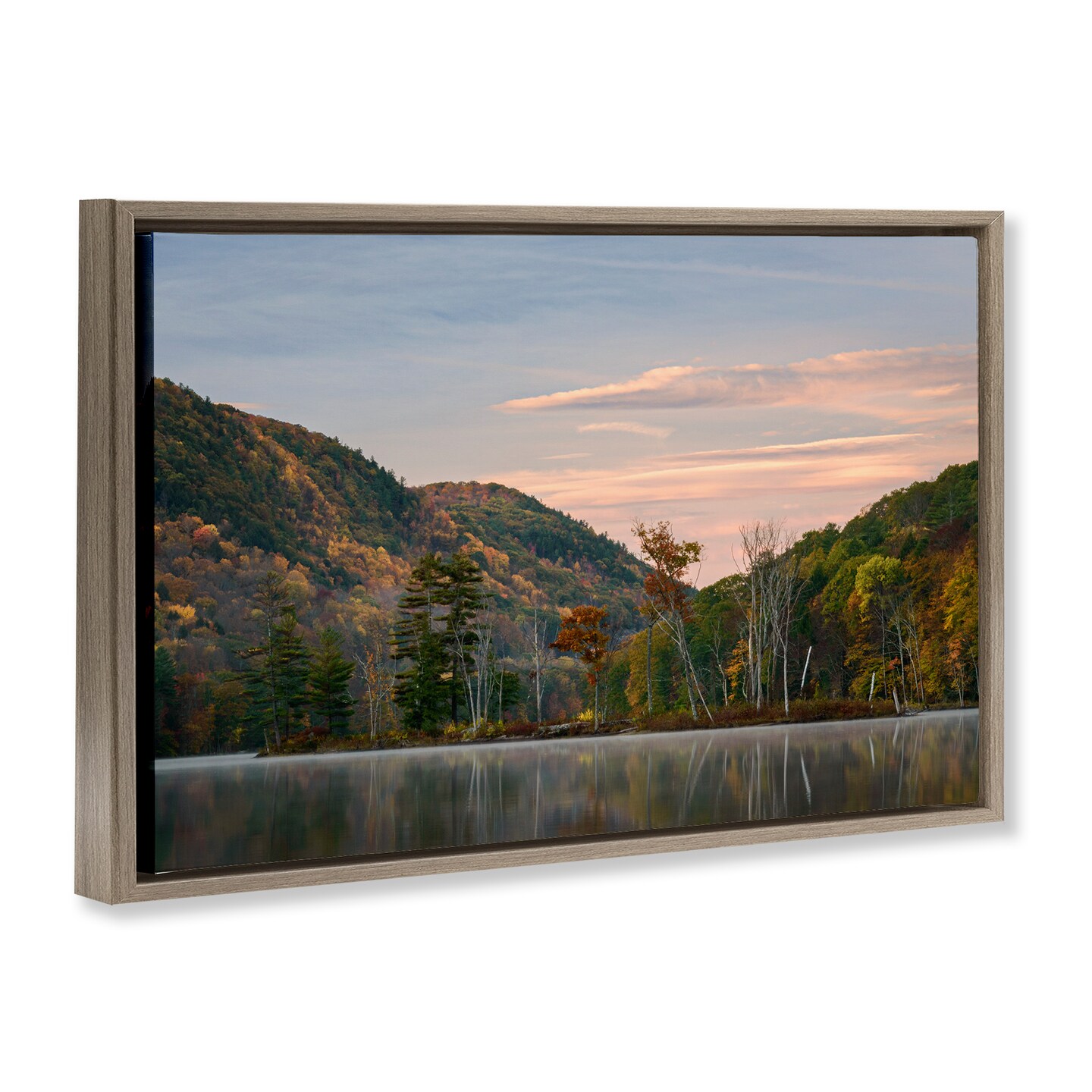 Stupell Industries Nature's Change Reflection Floating Frame, design by James Rodewald