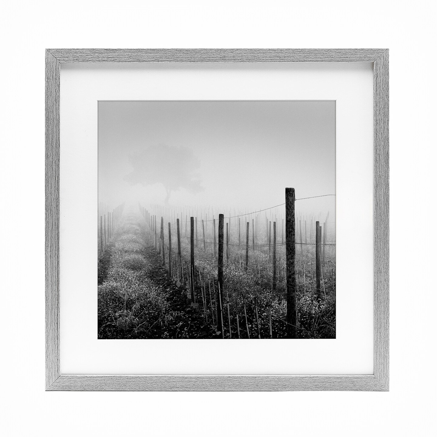 Stupell Industries Vineyard At Dawn Framed Print Under Glass, design by Chip Forelli