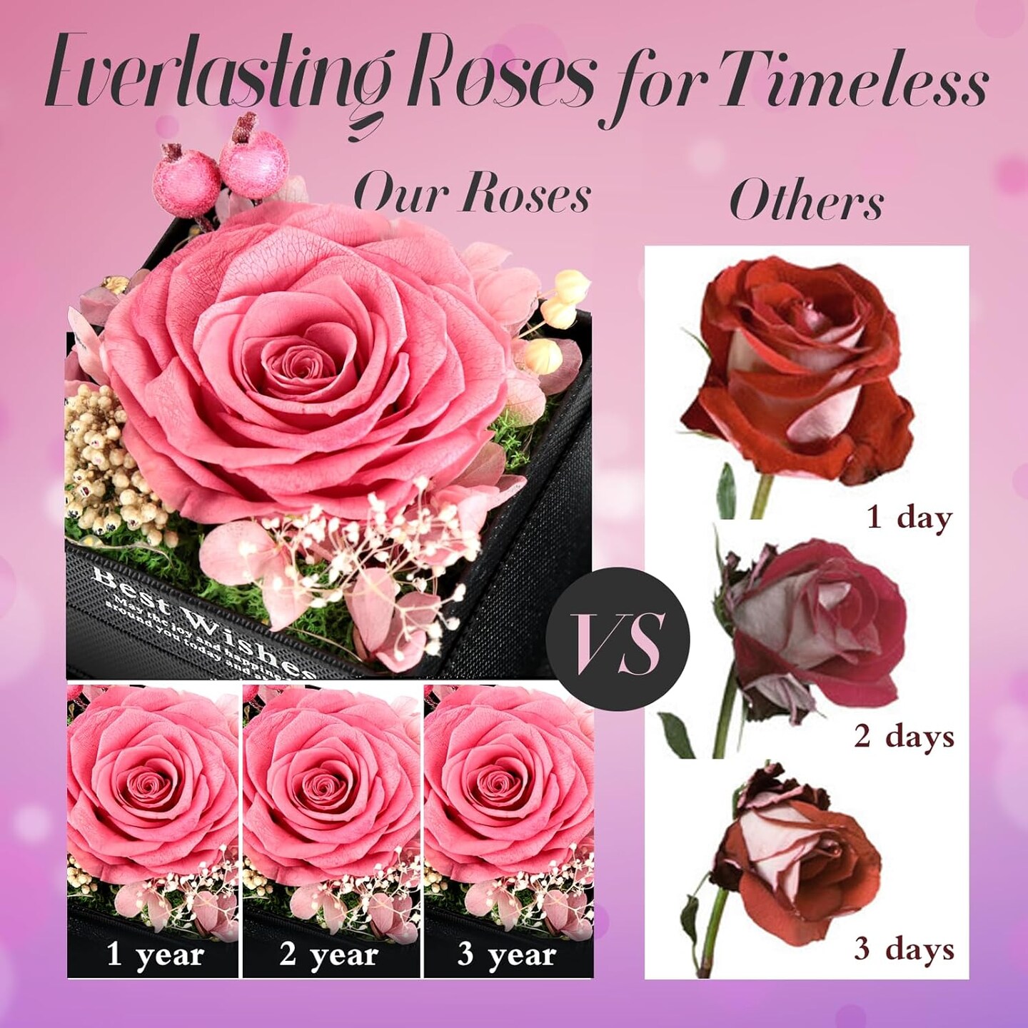 Preserved Rose Flower Gifts with Necklace - PINK