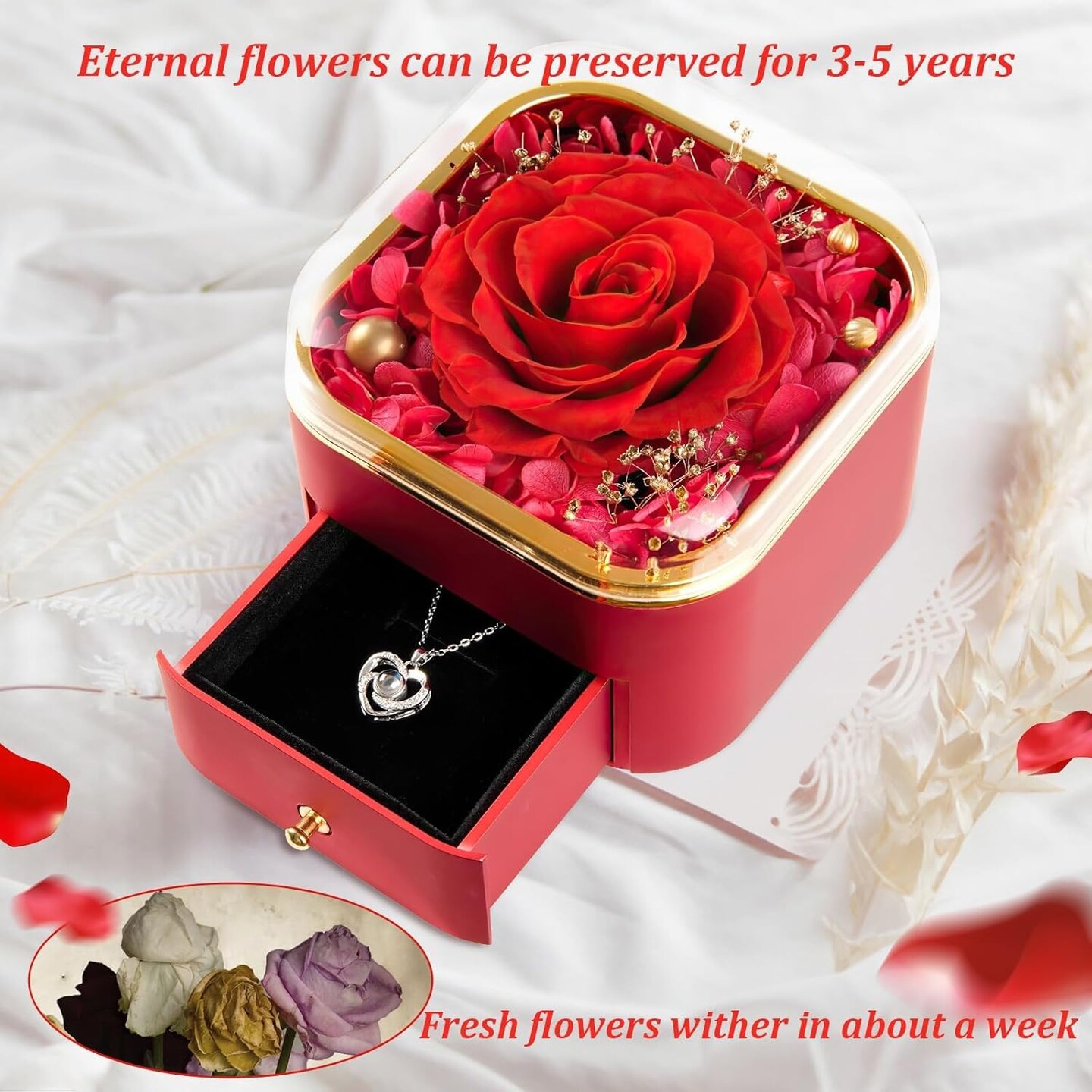 Preserved Red Real Rose with Necklace