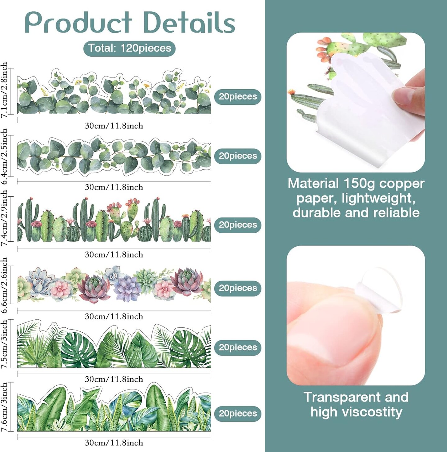 Borders for Bulletin Board, 118 ft Green Eucalyptus Bulletin Board Boarders