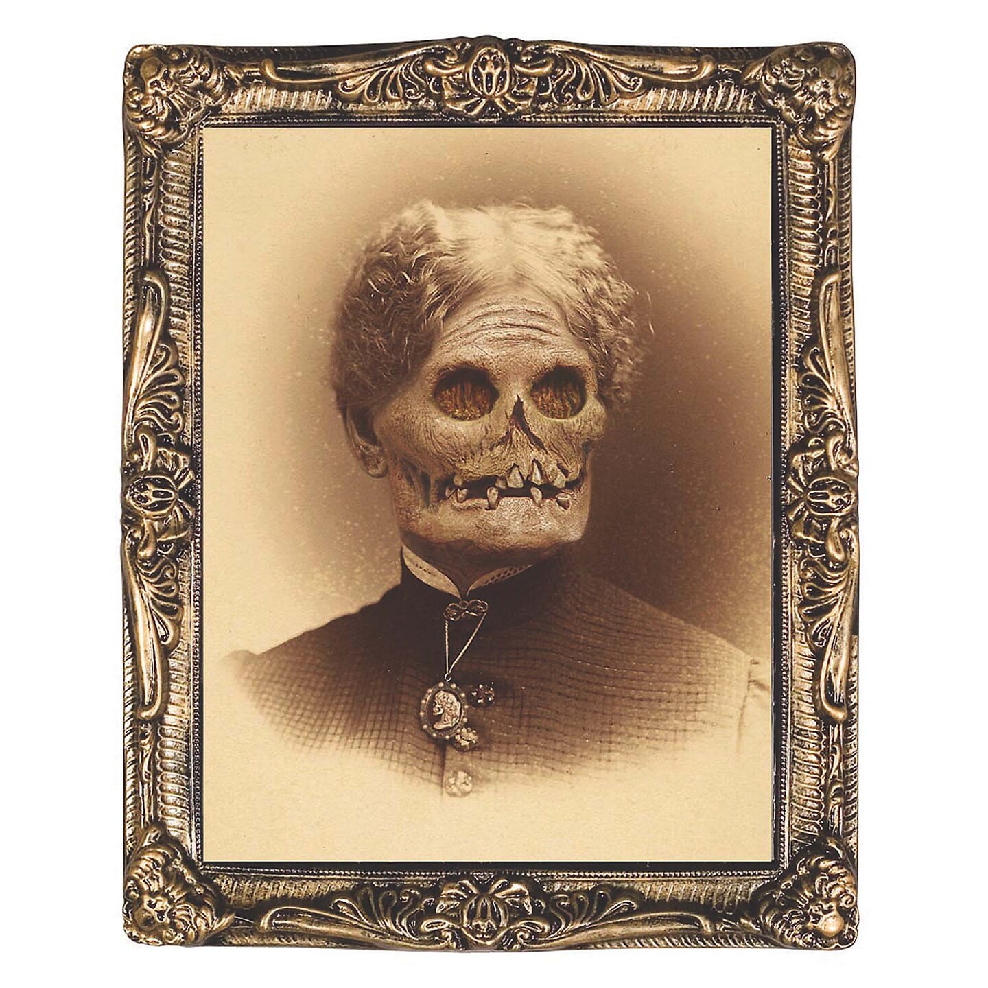 17 Inch by 21 Inch Aunt Hazel Holographic Portrait Halloween Decoration