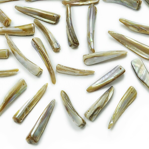 6 Packs of Spiked Tinted Shell Beads - Natural - 2 x 8" Strand