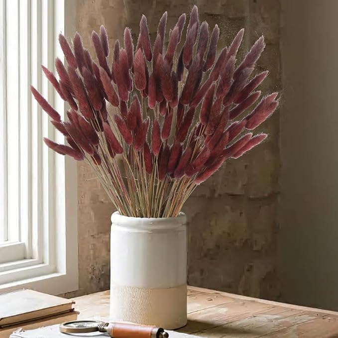 120 Pcs Dried Bunny Tails Flower Lagurus Ovatus Natural Dried Flowers Rabbit Tail Grass Dried Pampas Grass Floral Arrangement for Boho Decor Wedding Home DIY Farmhouse Table Dark Brown