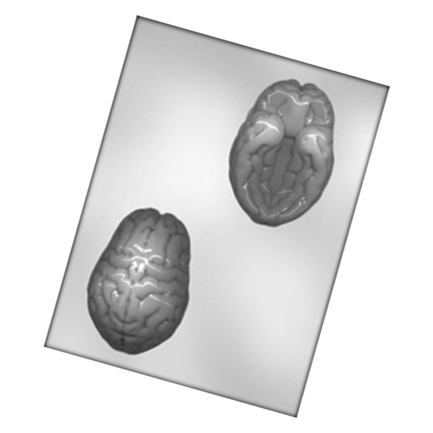 4&#x22; 3D Brain Mold