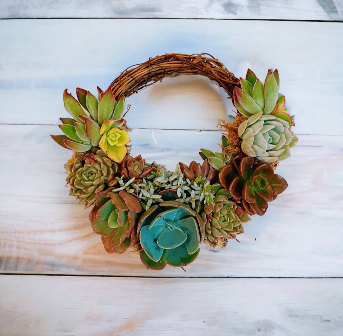 DIY Succulent Wreath Kit | Create Your Own Stunning Living Wreath |  MakerPlace by Michaels