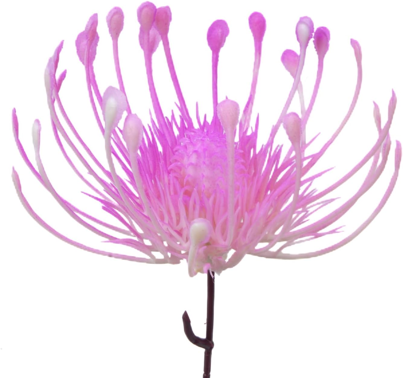 3pcs Plastic Flowers Purple Flowers Artificial Fake Mums Chrysanthemum Purple Centerpieces for Table Home Bathroom Table Centerpieces Ourdoor Decor