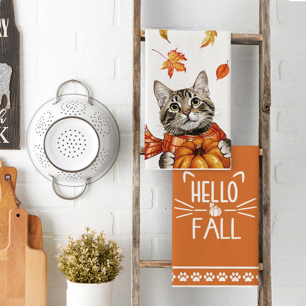 Cat Pumpkin Hello Fall Kitchen Towels Dish Towels