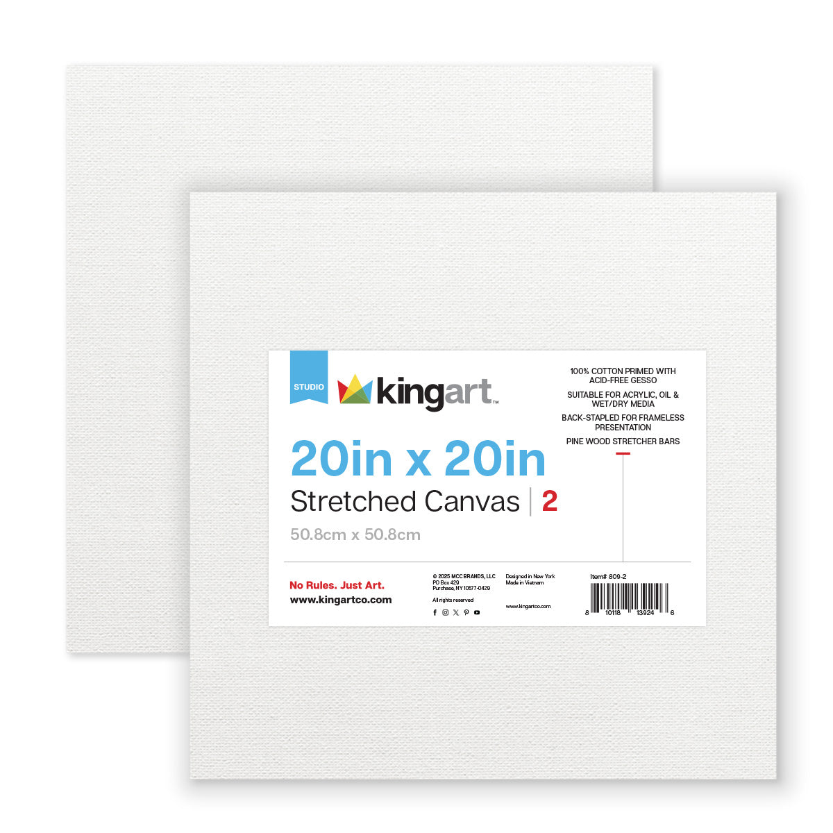 KINGART® Stretched Canvas 20x20 2 pc | Michaels