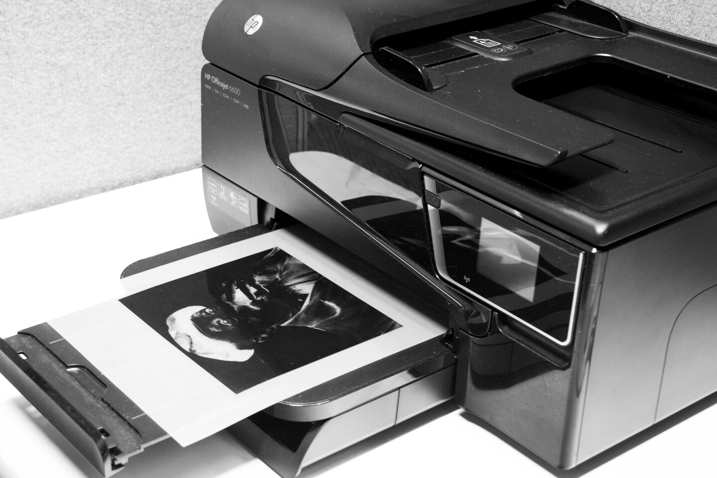 Jacquard SolarFast Film