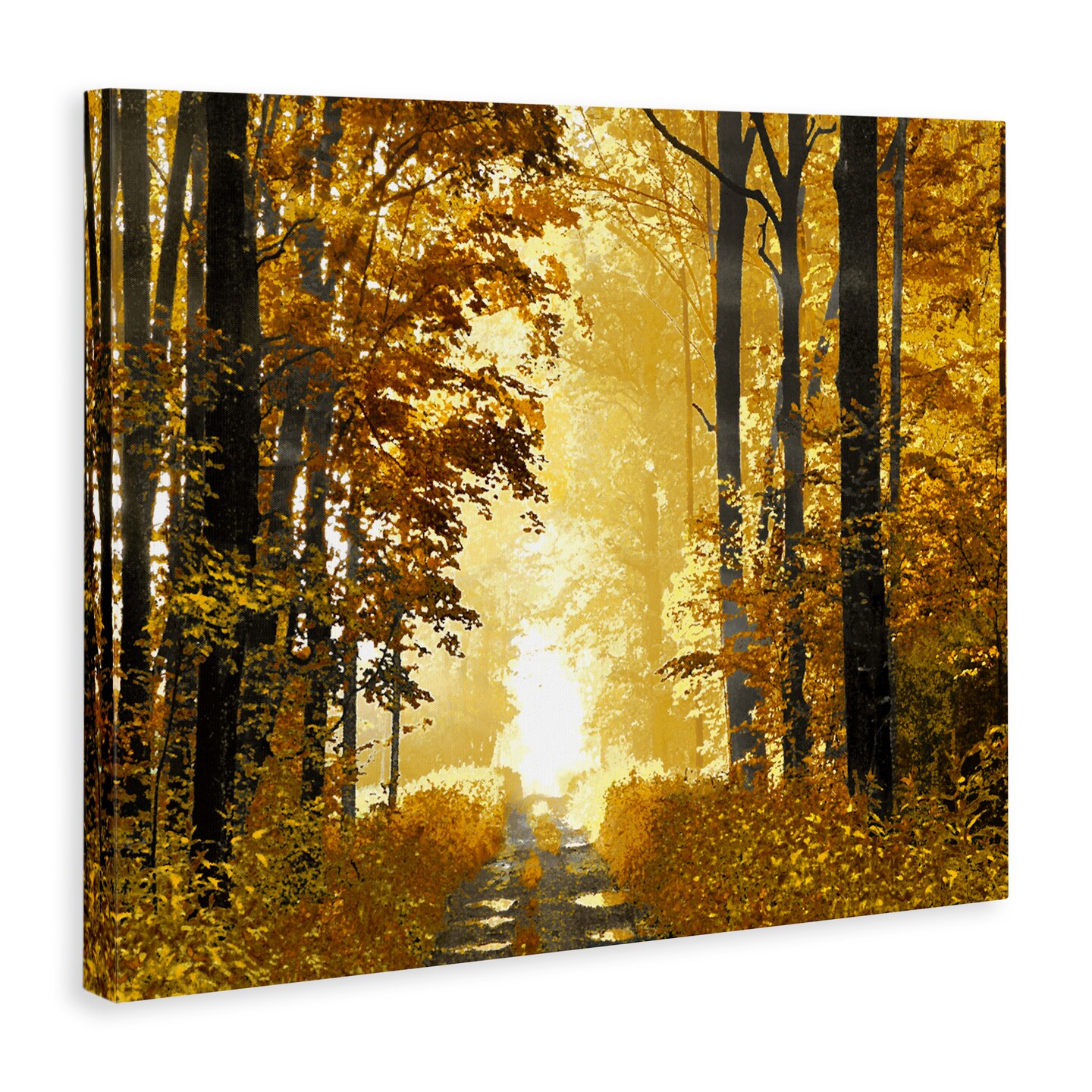 Autumn Path Landscape Canvas Art