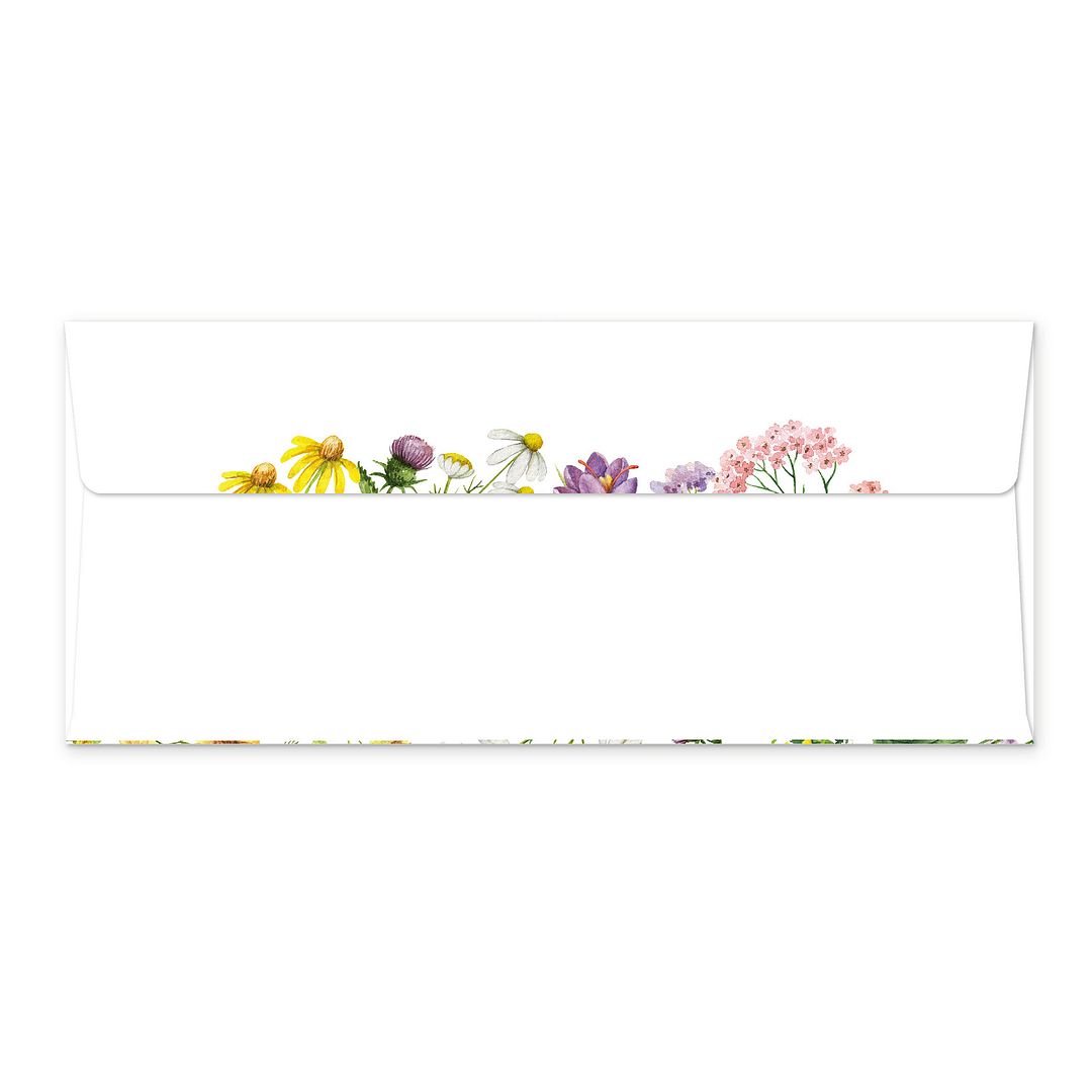 Great Papers! Summer Meadow Coordinating Envelope, Standard #10, 9.5" x 4.125", Gummed Adhesive, 25 Pack