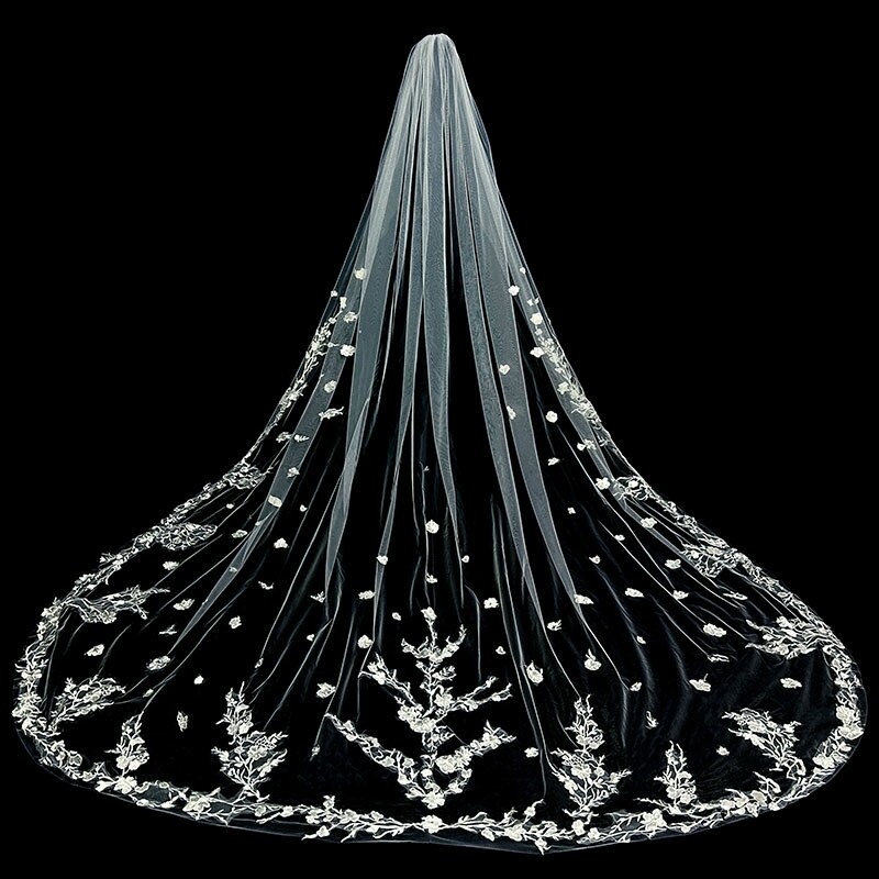 Cathedral Wedding veil, Lace wedding veil, Lace trim bridal veil