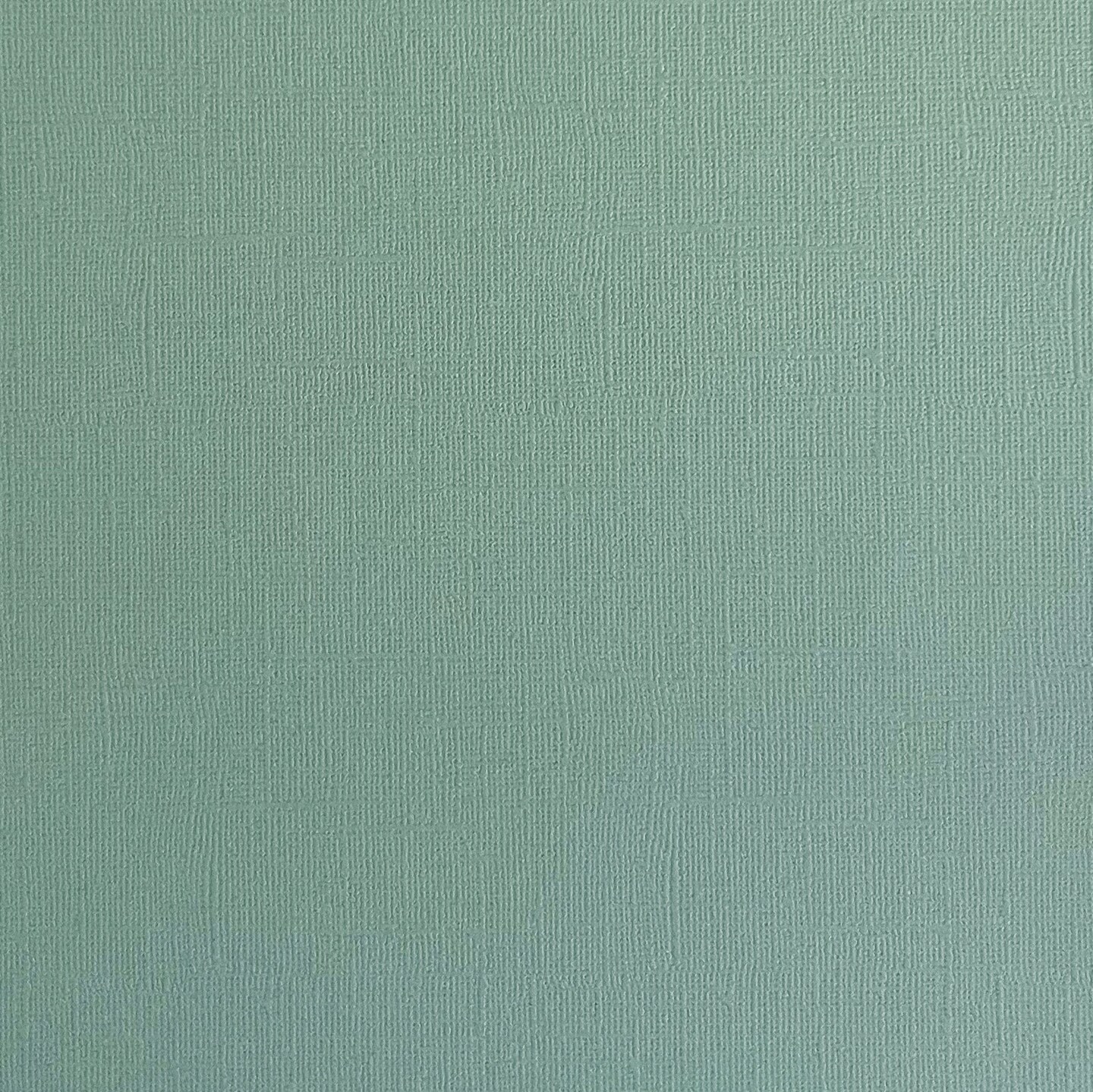 BAYOU - Textured 12x12 Cardstock - Encore Paper