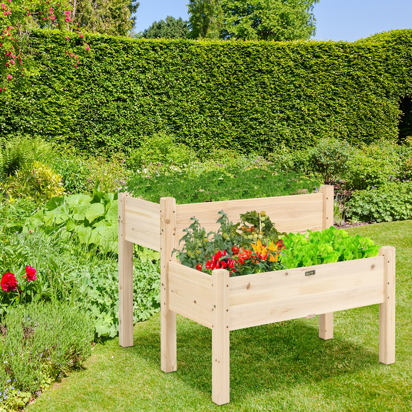 2 Tier Wooden Raised Garden Bed with Multiple Draining Holes Suitable for Yards or Porches