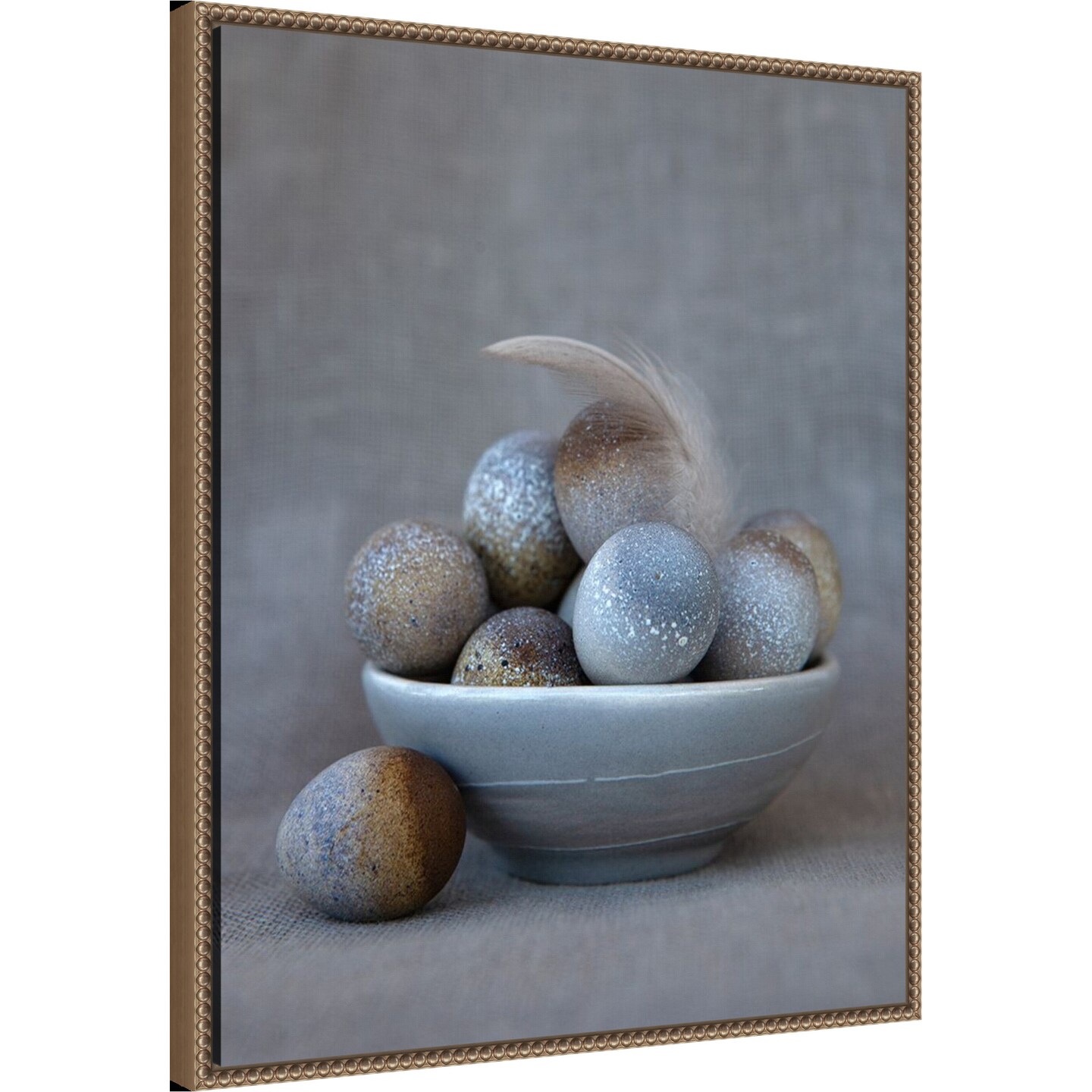 The Feather by Tania Soderman Framed Canvas Wall Art