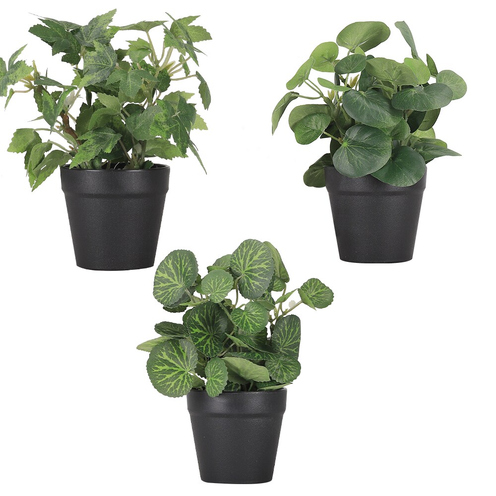 Mini Fake Plants Set of 3 - Small Lifelike Artificial Potted Plants in Ceramic Pots for Home, Office Desk, Bathroom Shelf, Farmhouse Decor