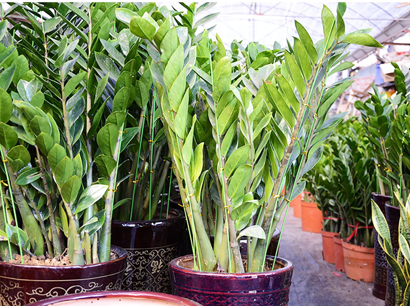 18 Gauge Green Floral Stem Wire for Artificial Flower Making 16 inch,50/Package