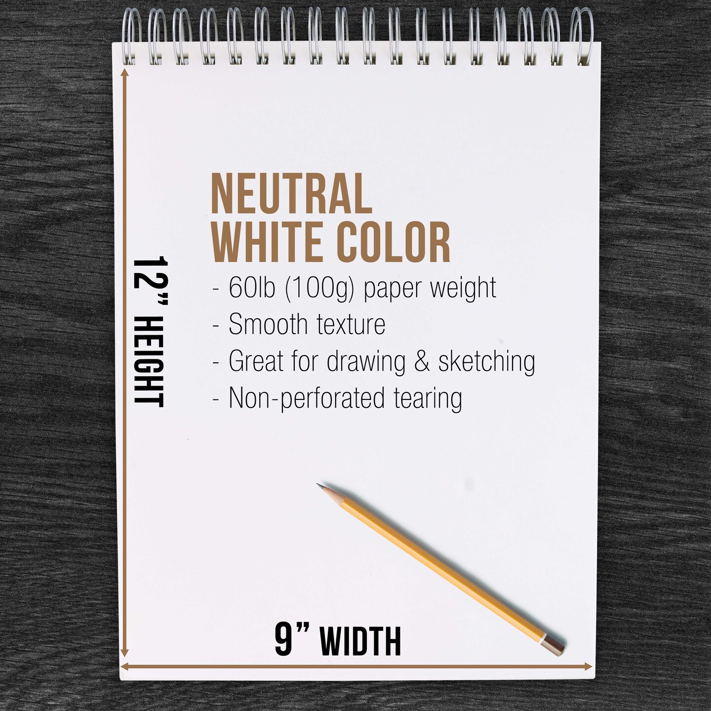 9&#x22;x12&#x22; Top Spiral Bound Sketch Book, 2 Pack, 100 Sheets Each, 60lb (100gsm), Acid-Free, Artist Sketchbook, Drawing Pad for Adults &#x26; Students