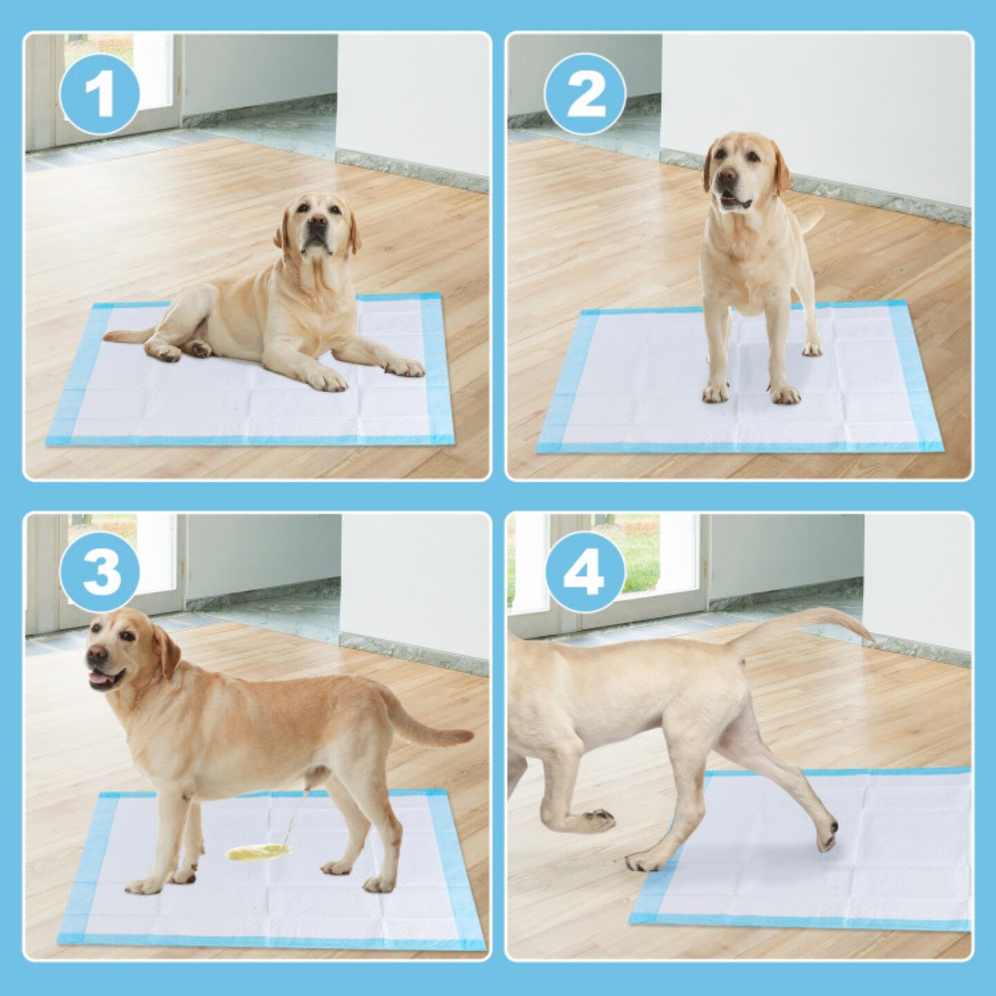 Sky Blue 100 Pieces 36-inch Pet Wee Pee Piddle Pad Ideal for Indoor Use