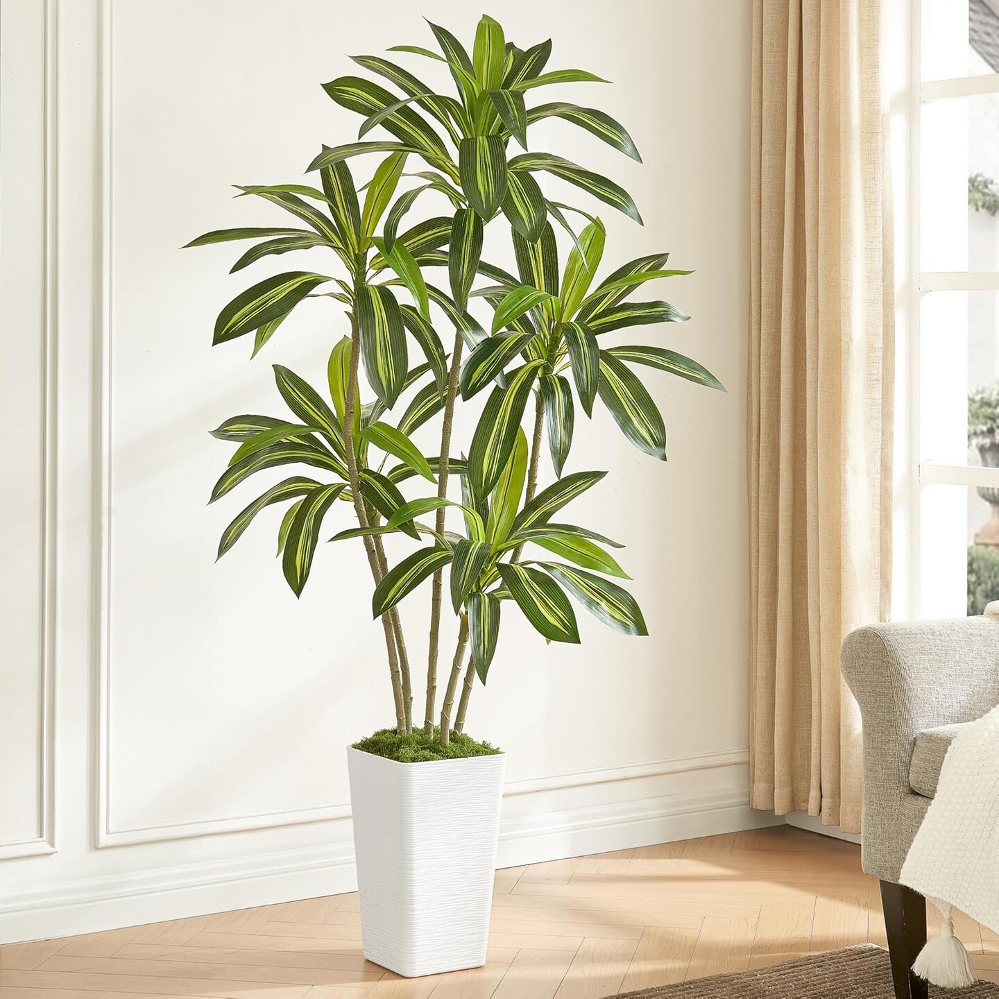 6FT Artificial Dracaena Silk Tree with White Planter - Real Touch Fake Plant for Home &#x26; Office Decor, Faux Yucca Indoor Floor Tree