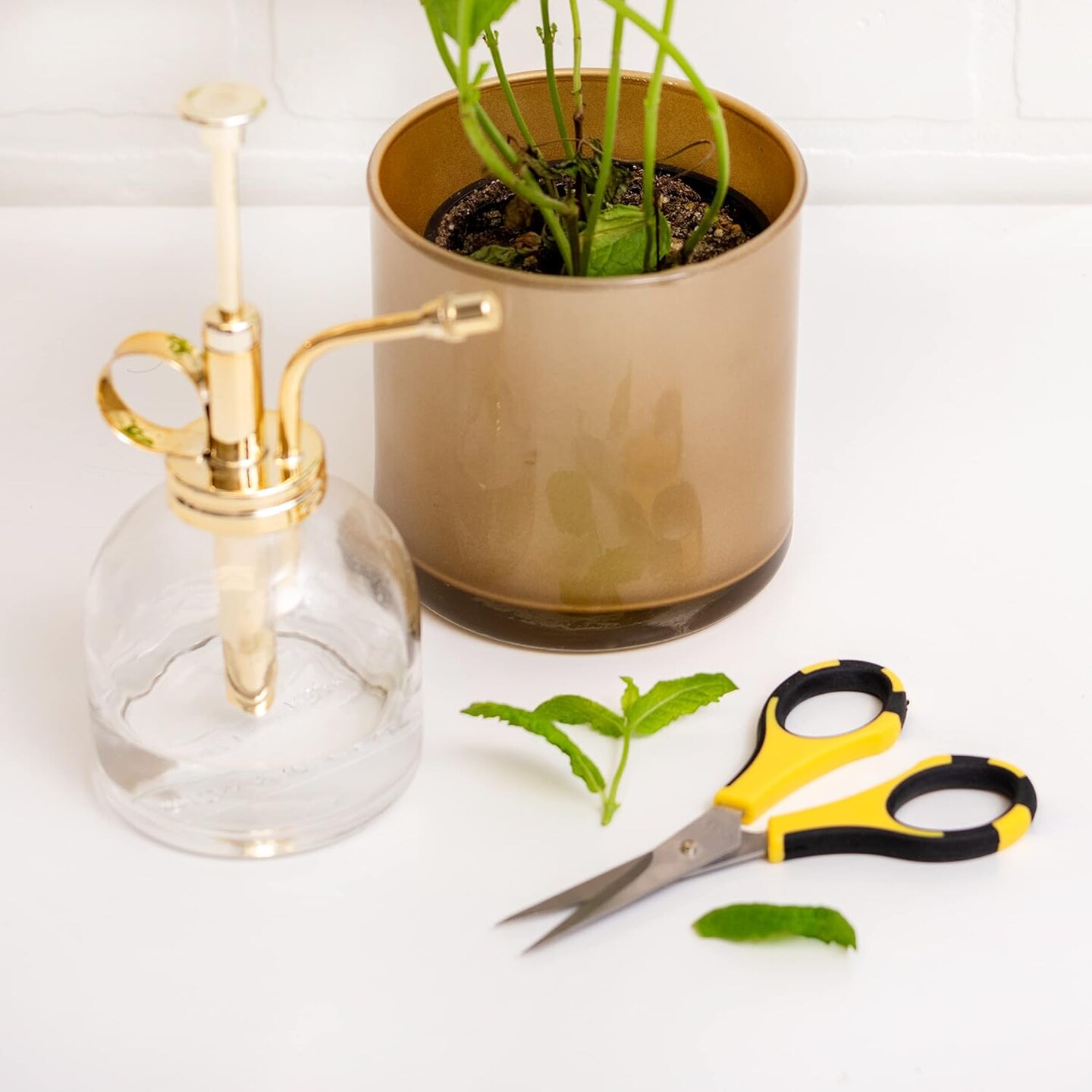 Precision Craft Scissors – Small Yellow & Black, Ergonomic with Safety Cover for Paper, Herbs & More