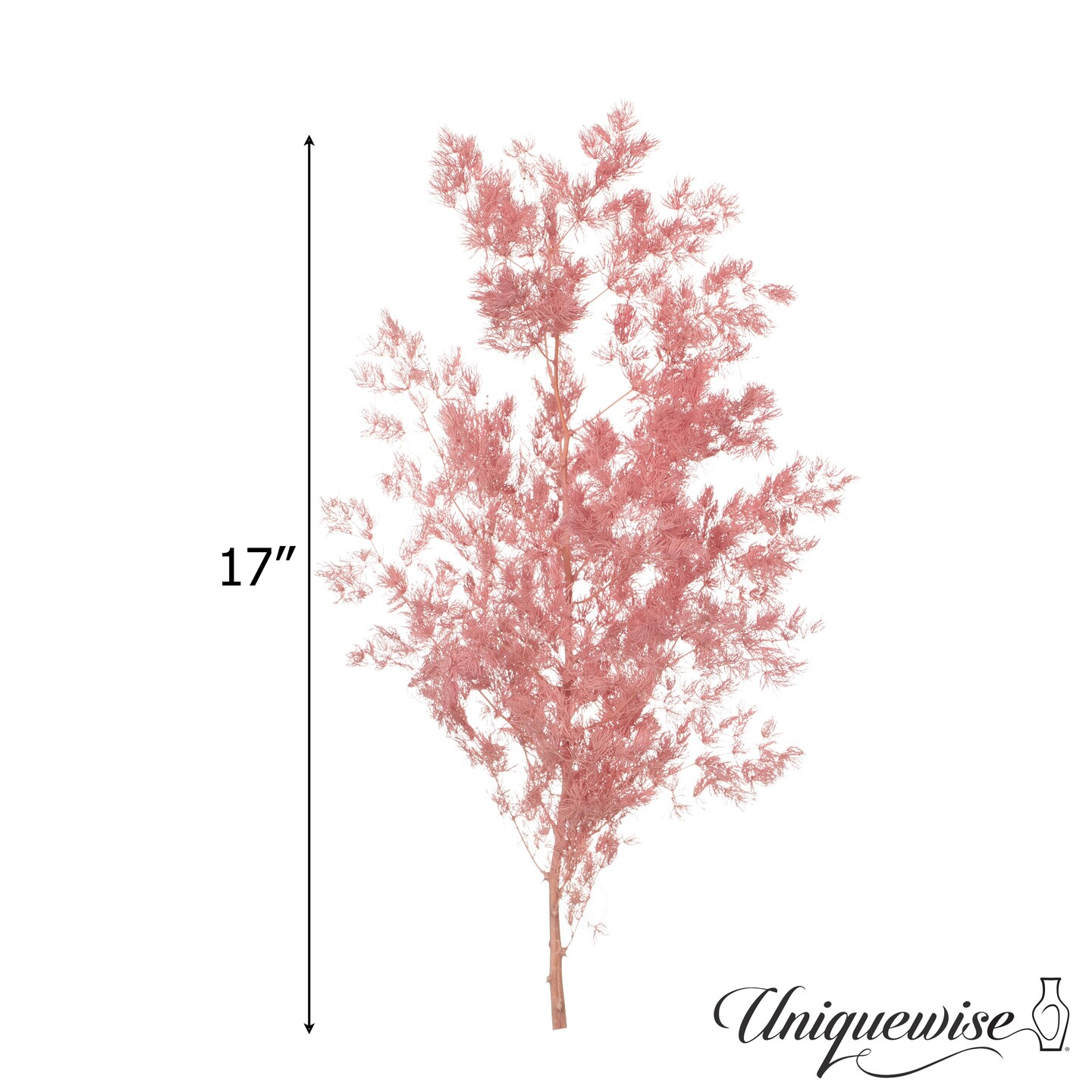 Uniquewise Preserved Real Floral Stems Chic Vase Fillers & Accents for Bouquets Centerpieces & Ornamental Displays Ideal for Home Office Boutique Cafe Resto Bar and Event Decor