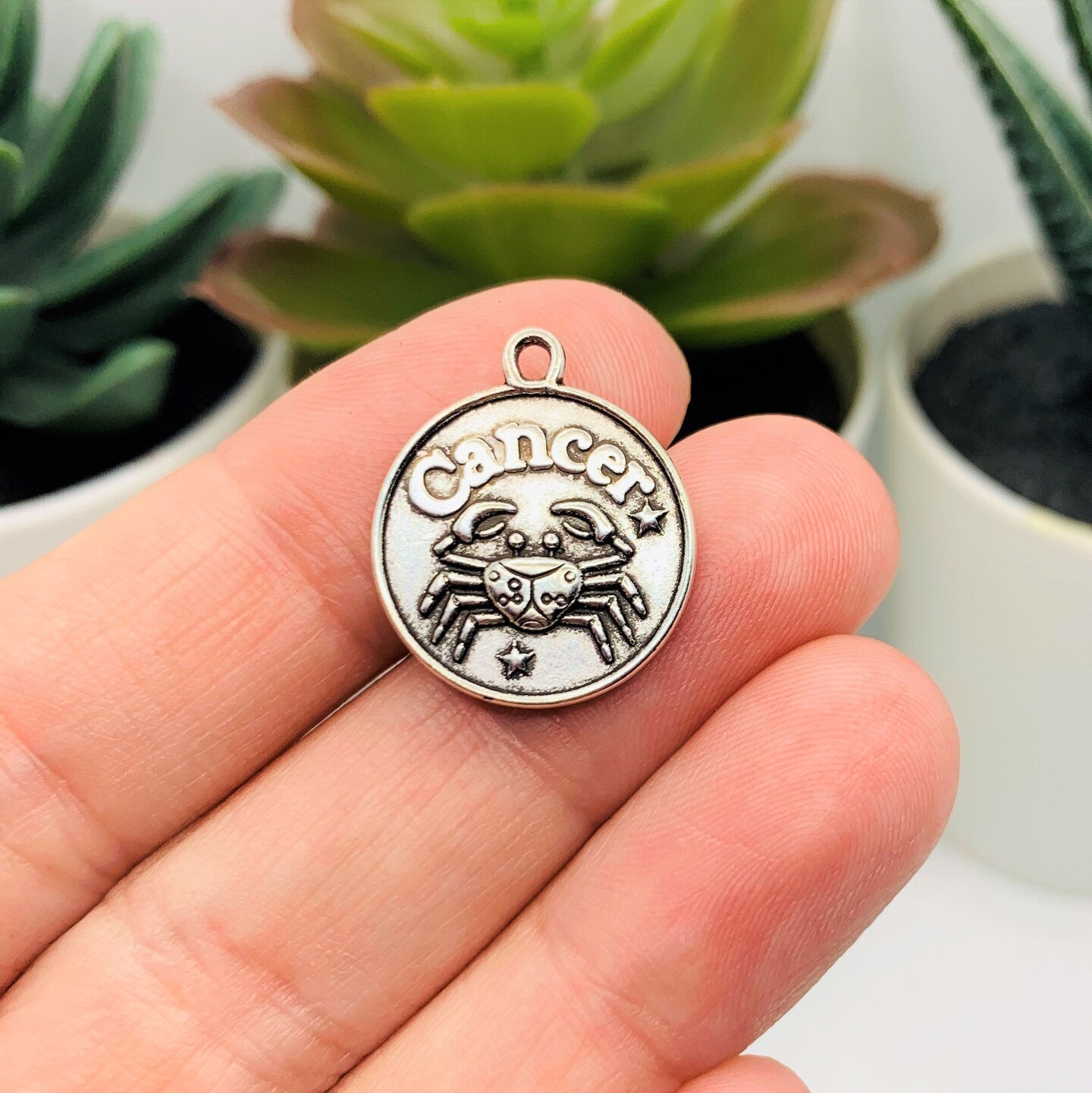 Silver Cancer Zodiac/Astrology Coin Charms, 17x20mm