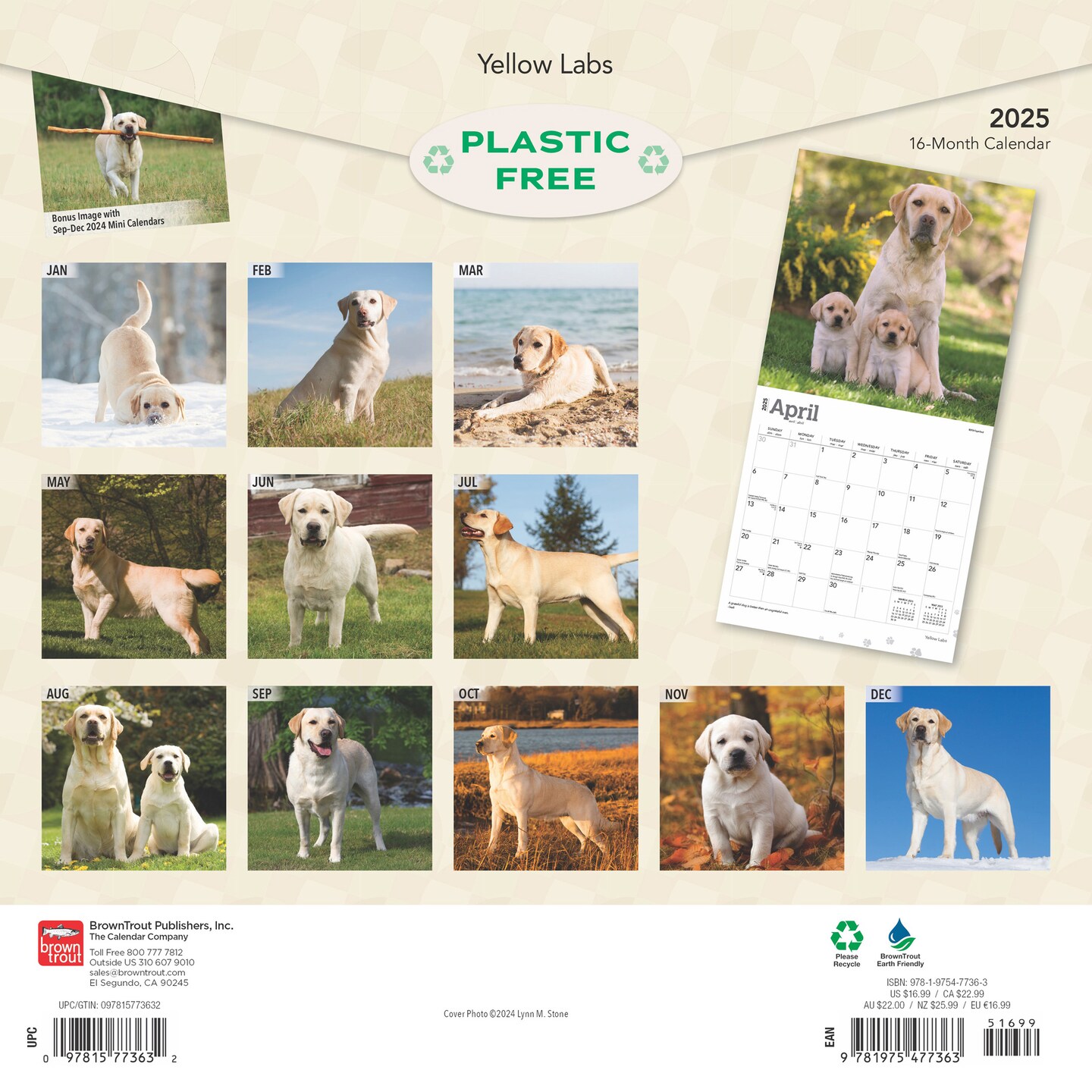 Yellow Labrador Retrievers | 2025 12 x 24 Inch Monthly Square Wall Calendar | Plastic-Free | BrownTrout | Animals Dog Breeds