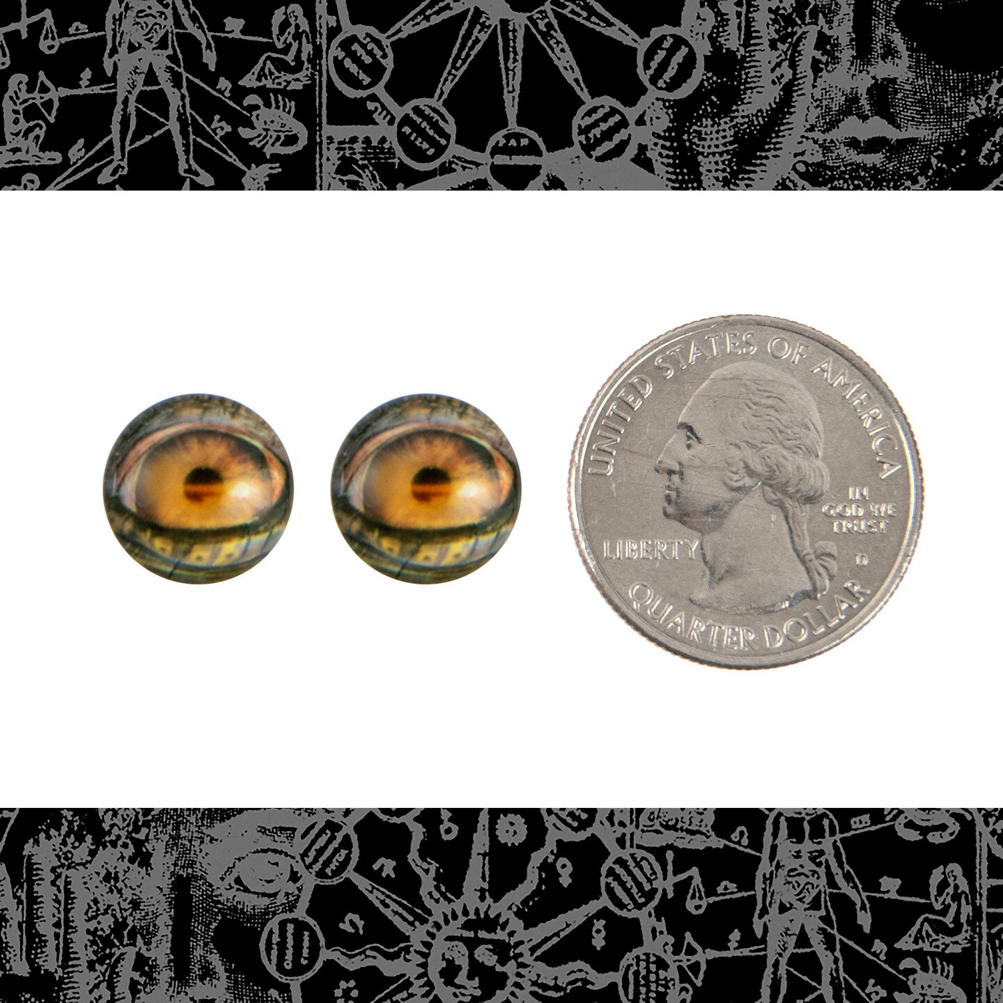 12mm Round Golden Hooded Eye Cabochons - Set of Two - CAB42