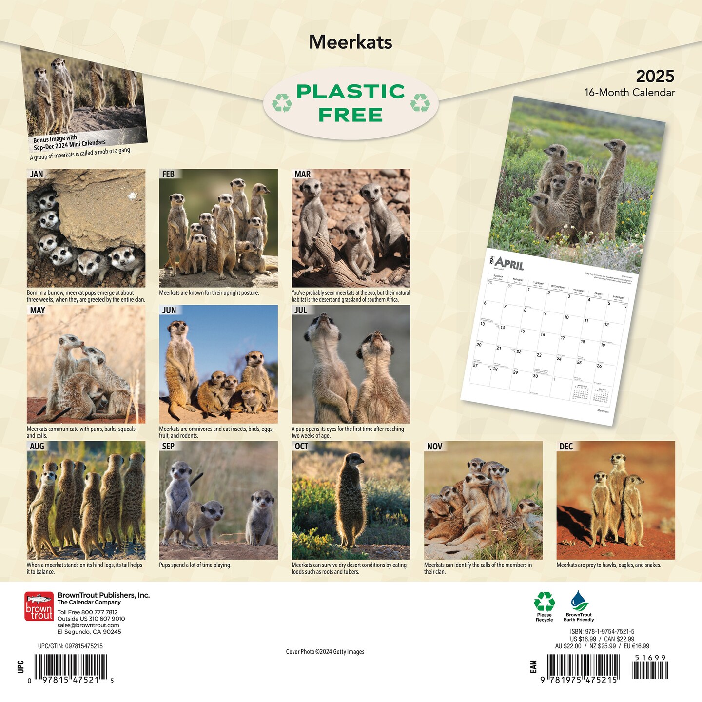 Meerkats | 2025 12 x 24 Inch Monthly Square Wall Calendar | Plastic-Free | BrownTrout | Wildlife Animals