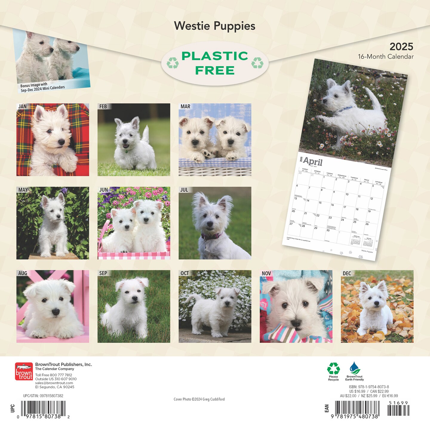 West Highland White Terrier Puppies | 2025 12 x 24 Inch Monthly Square Wall Calendar | Plastic-Free | BrownTrout | Animals Dog Breeds Puppy