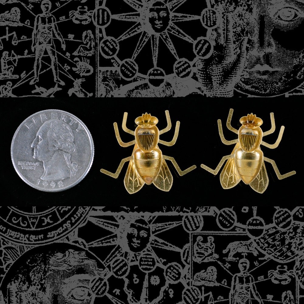 Raw Brass Life-Sized Fly Charm with Bendable Legs - Set of Two - XXX - B-C130
