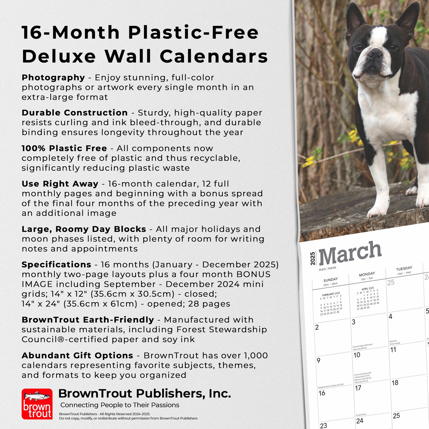 For the Love of Boston Terriers | 2025 14 x 24 Inch Monthly Deluxe Wall Calendar | Foil Stamped Cover | Plastic-Free | BrownTrout | Animal Dog Breeds