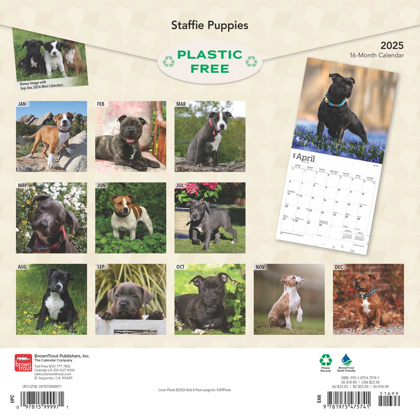 Staffordshire Bull Terriers Puppies | 2025 12 x 24 Inch Monthly Square Wall Calendar | Plastic-Free | BrownTrout | Staffies Dog Breeds