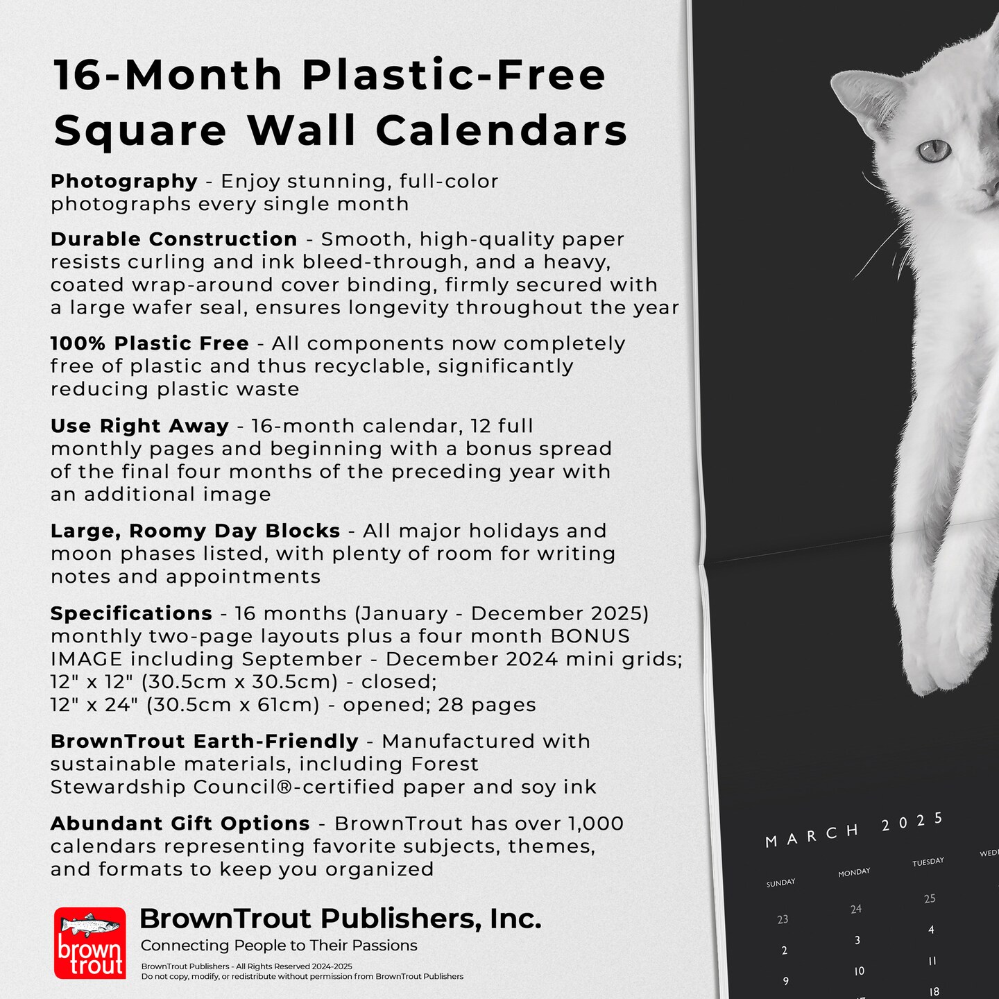 The BrownTrout Portrait Series: The Regal Cat | 2025 12 x 24 Inch Monthly Square Wall Calendar | Pet Kitten Feline
