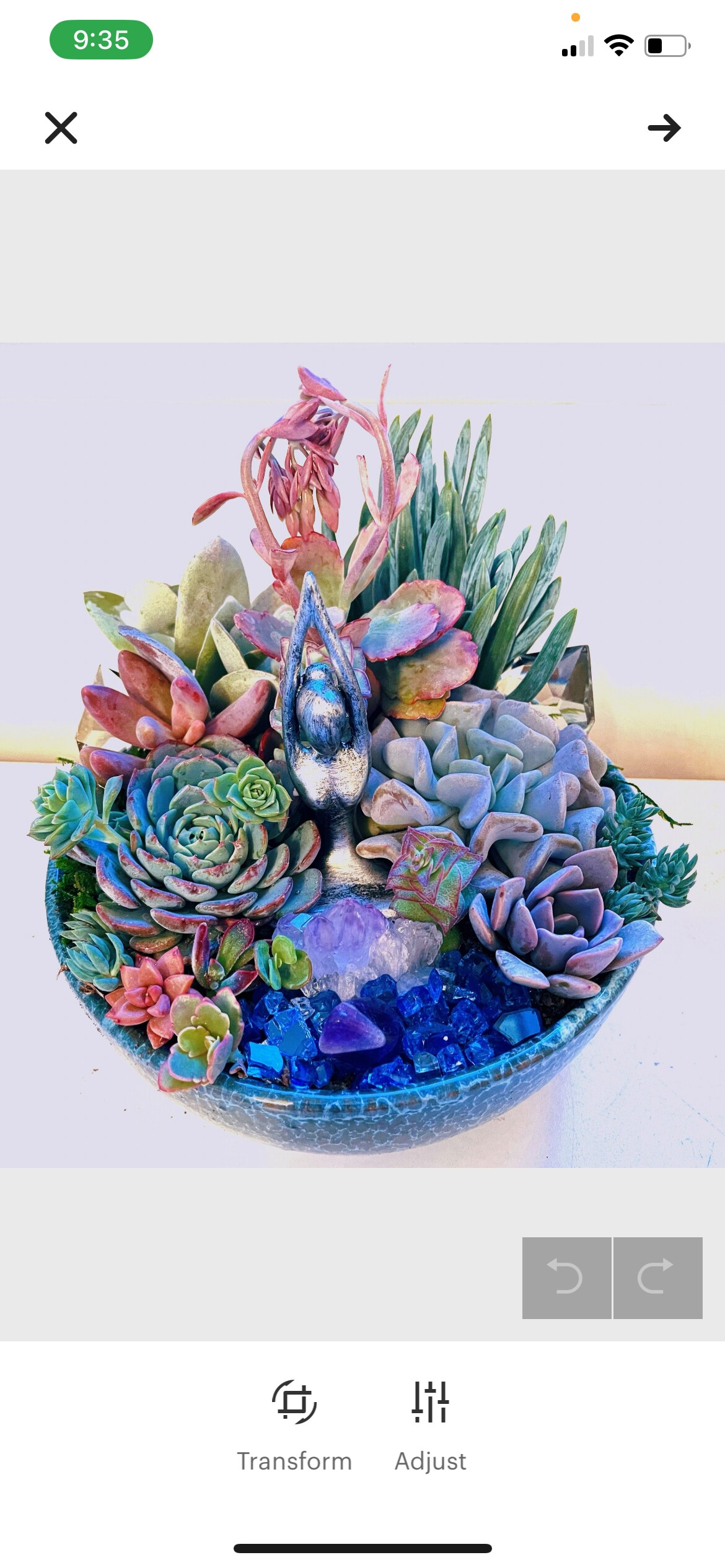 Zen garden succulent arrangement in 8 inch ceramic bowl