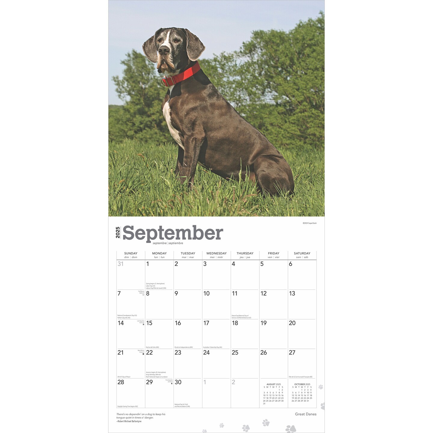 Great Danes | 2025 12 x 24 Inch Monthly Square Wall Calendar | Plastic-Free | BrownTrout | Animals Dog Breeds