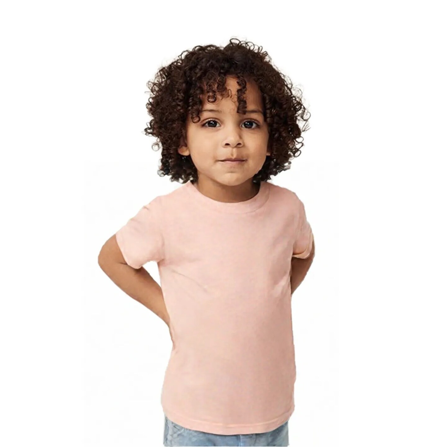 BELLA + CANVAS Triblend Airlume Combed And Ring-Spun Cotton Crewneck Tee For Custom Printing.