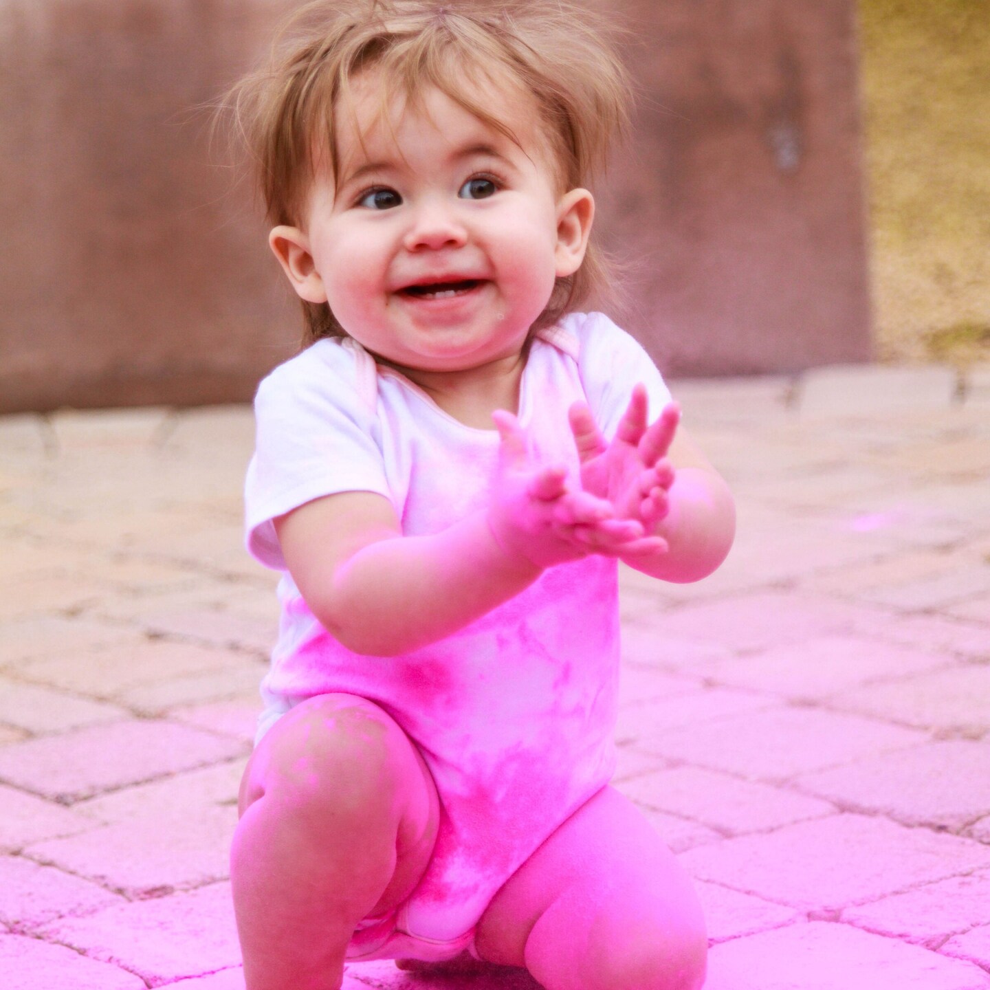 Gender Reveal Powder | 1 Pound Blackout Bags | 1 Pink & 1 Blue