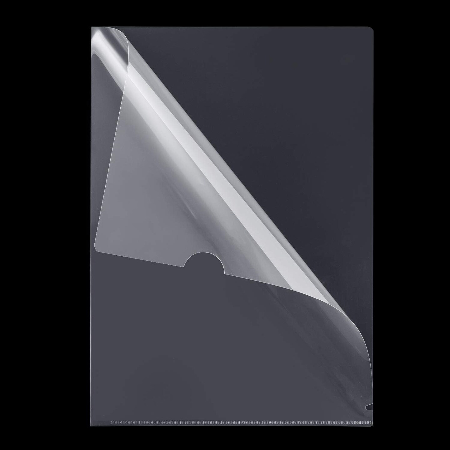 48 Pack Plastic Clear Document Folders