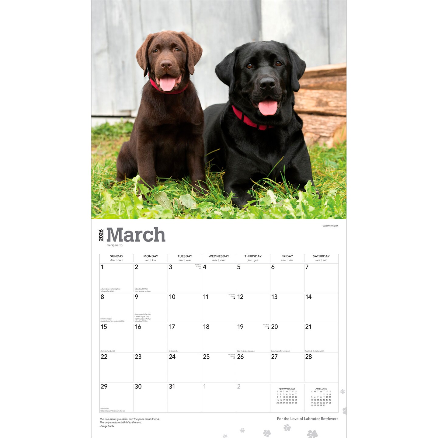 For the Love of Labrador Retrievers | 2026 14 x 24 Inch (Hanging) Monthly Deluxe Wall Calendar | Foil Stamped Cover | Plastic-Free