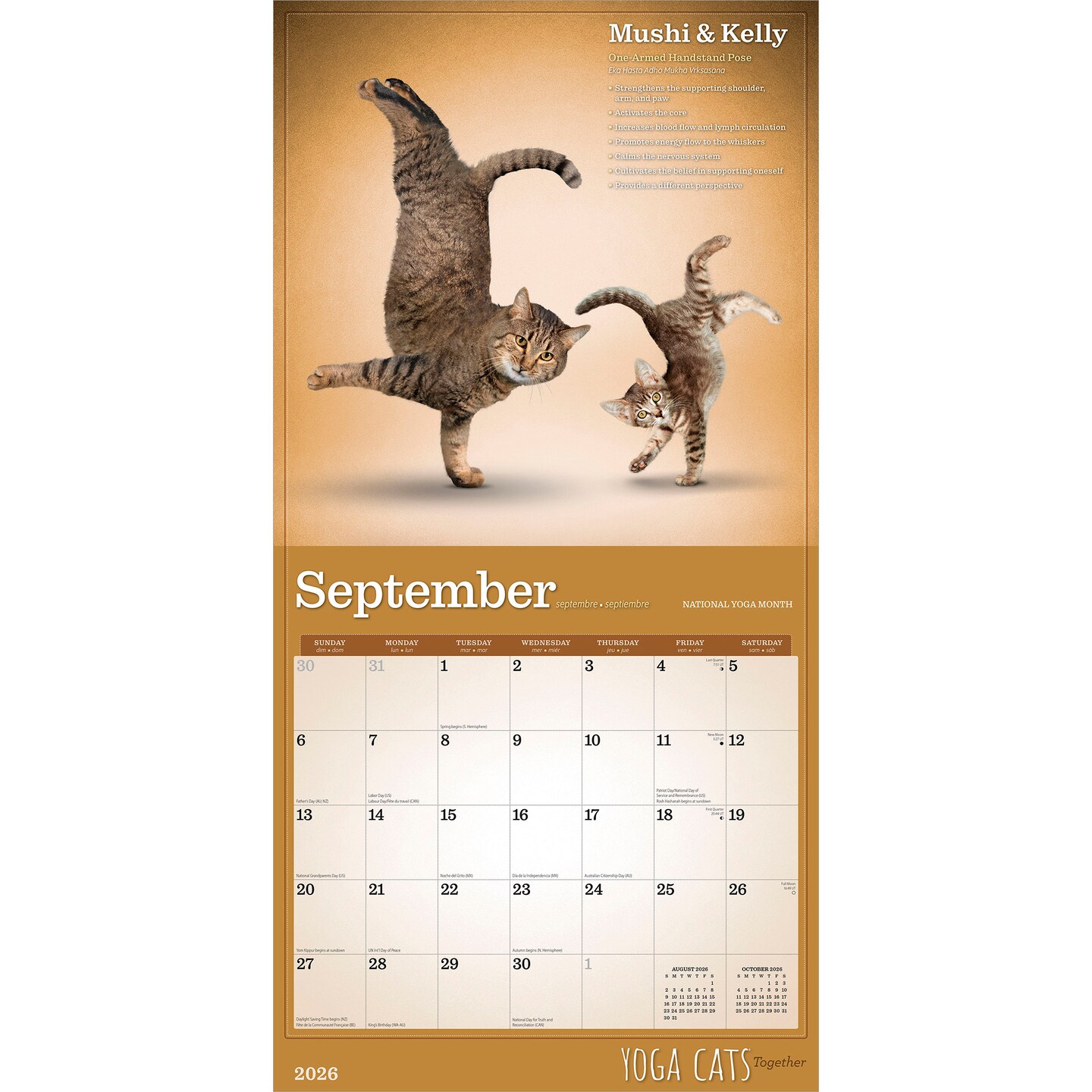 Yoga Cats Together OFFICIAL | 2026 12 x 24 Inch (Hanging) Monthly Square Wall Calendar