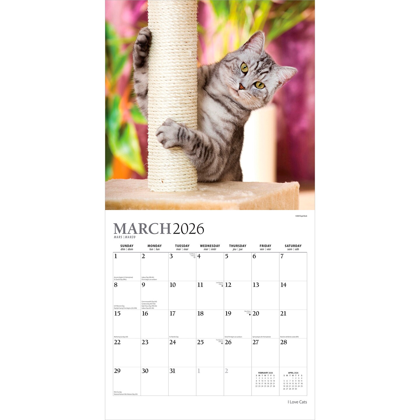 I Love Cats | 2026 12 x 24 Inch (Hanging) Monthly Square Wall Calendar | Foil Stamped Cover