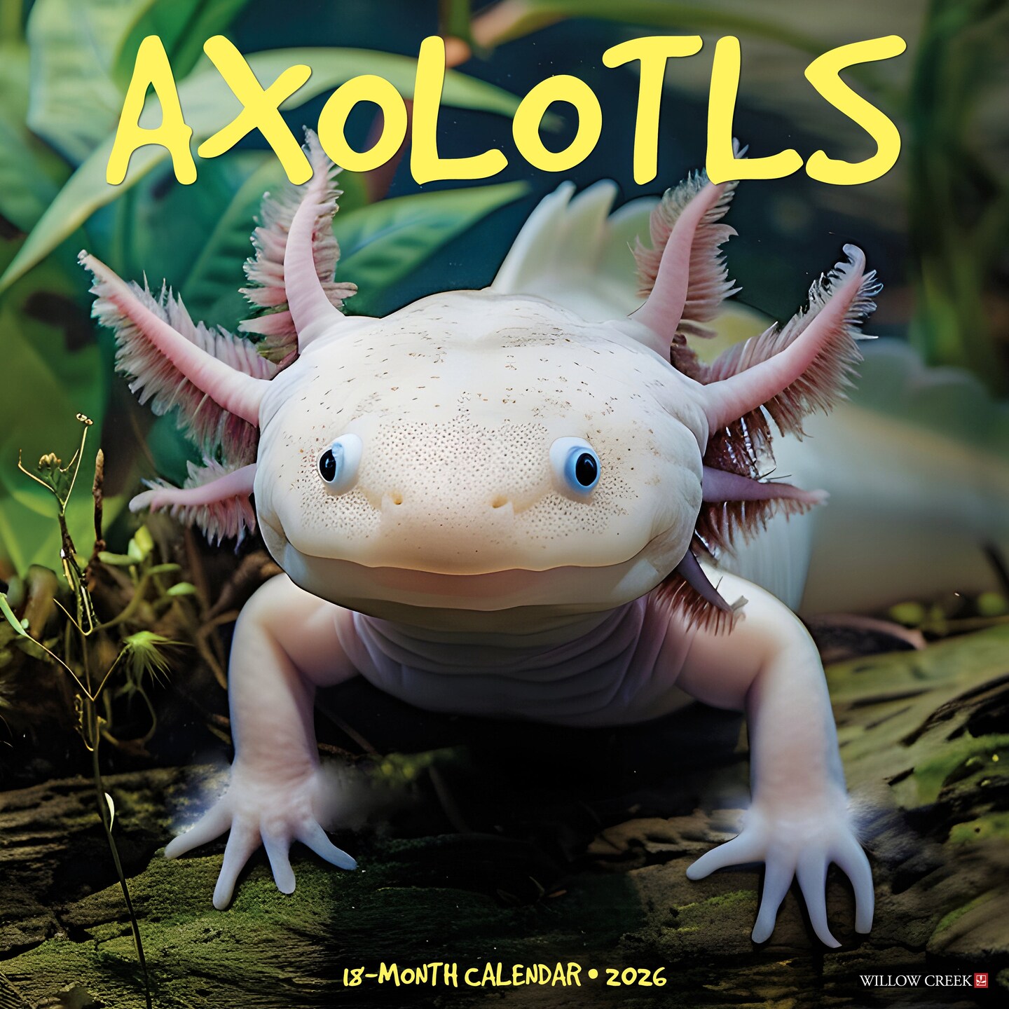 Axolotls 2026 Wall Calendar