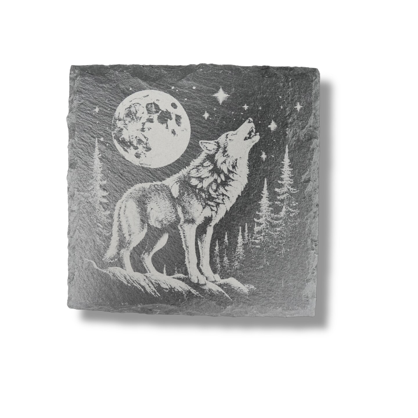 Coaster - Slate - Woods at Night - SET of 4
