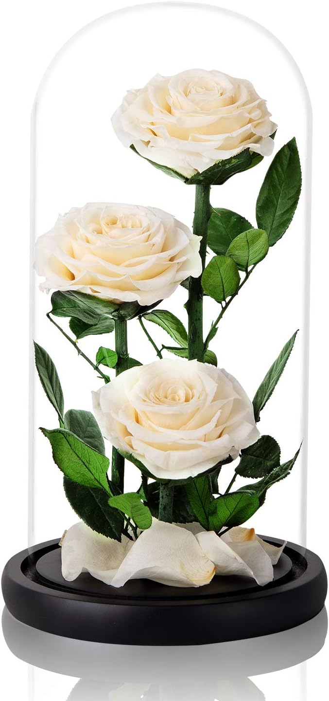 White Roses Handmade Preserved Real Rose in Glass Dome, Long Lasting Roses Never Withered, Birthday Gifts for Women (13 inch)
