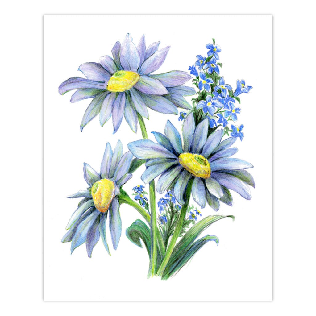 AVS-DME203 | Drawing Made Easy&#x2122; 26pc 8&#x22; x 10&#x22; Flowers 4 Project Box Set