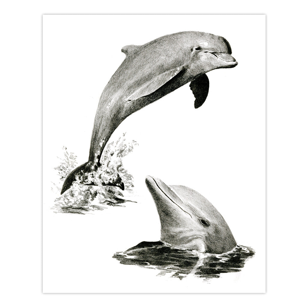 SKBN19 | Sketching Made Easy&#x2122; Dolphins 10pc 8.75&#x22; x 11.75&#x22; Sketching Art Project